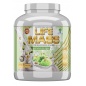 Гейнер Tree of life LIFE MASS 2700 гр